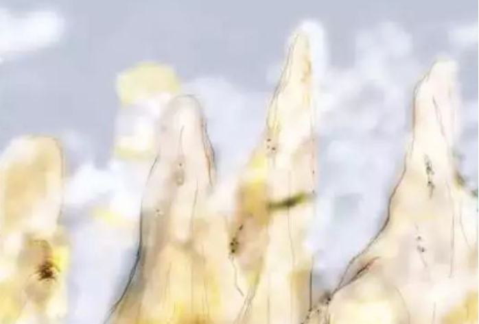 005.png