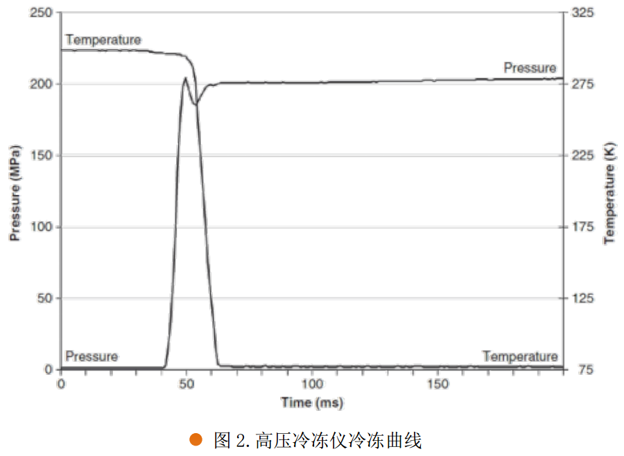 110350_3498.png 03.png