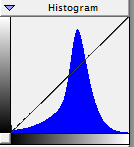 05.png